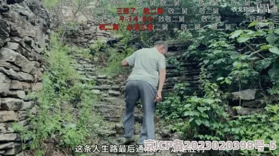 b站视频播放人数：分析影响因素及其对内容创作者和观众的意义，探讨如何提升观看体验与互动性